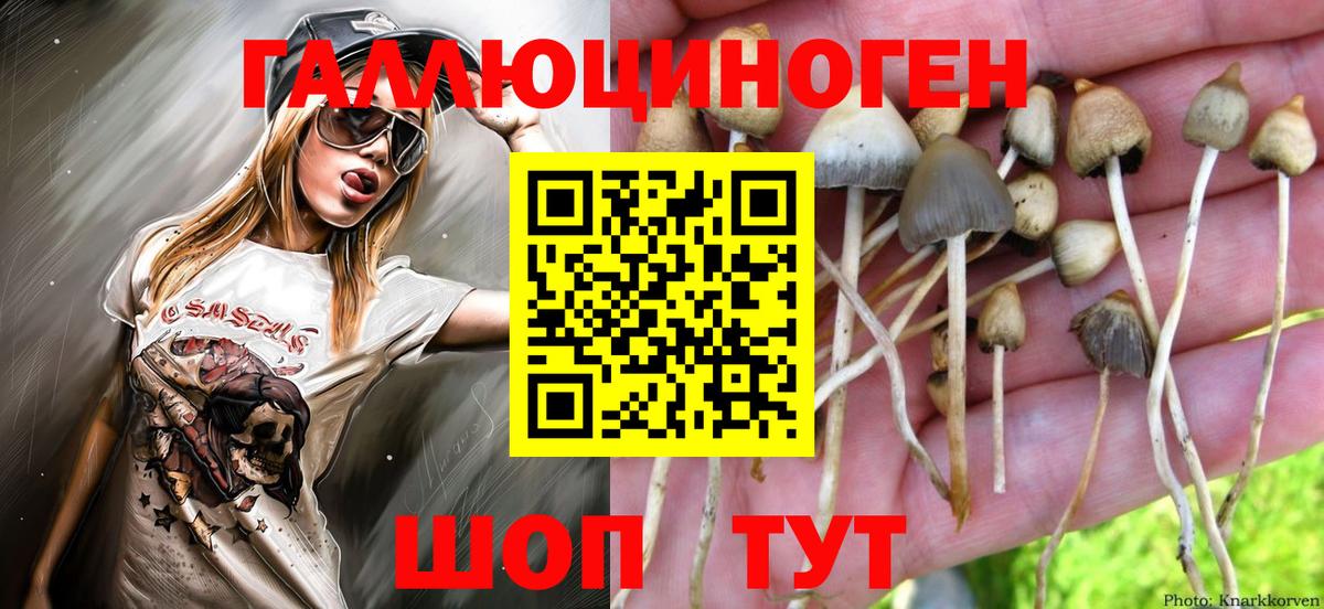 Галлюциногенные грибы Magic Shrooms Новочеркасск